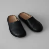 Mules Vibae Roma