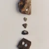 Anello Kerpe di Egle Silko Anello Kerpe di Egle Silko